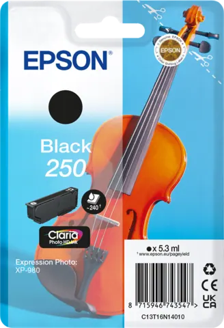 Original Epson 250 / C13T16N14010 Druckerpatrone Schwarz
