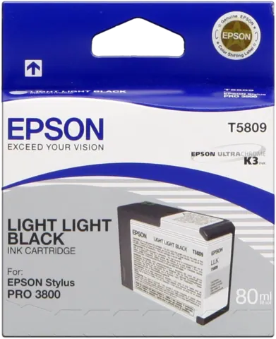 Original Epson T5809 Druckerpatrone lightlightblack C13T580900